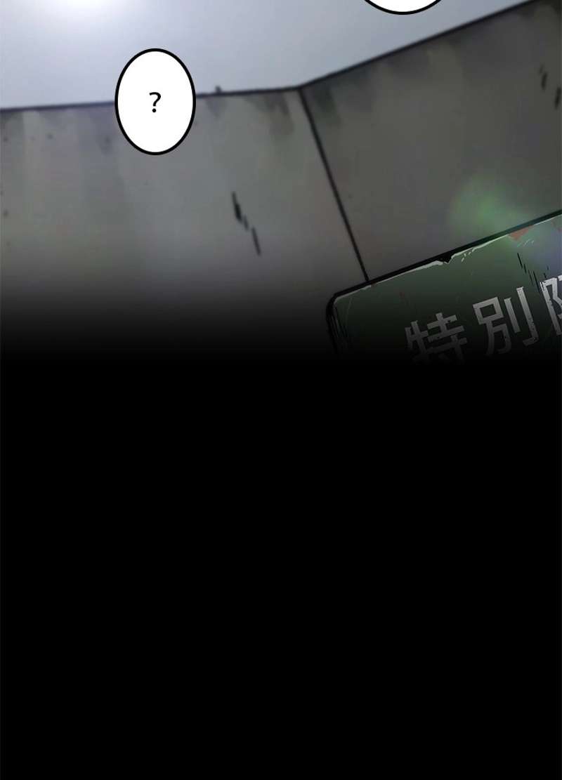 P66