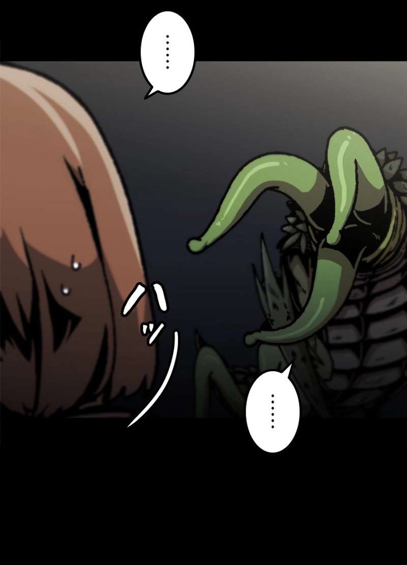 P54