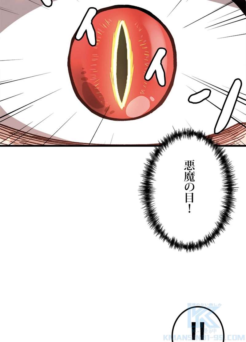 P58