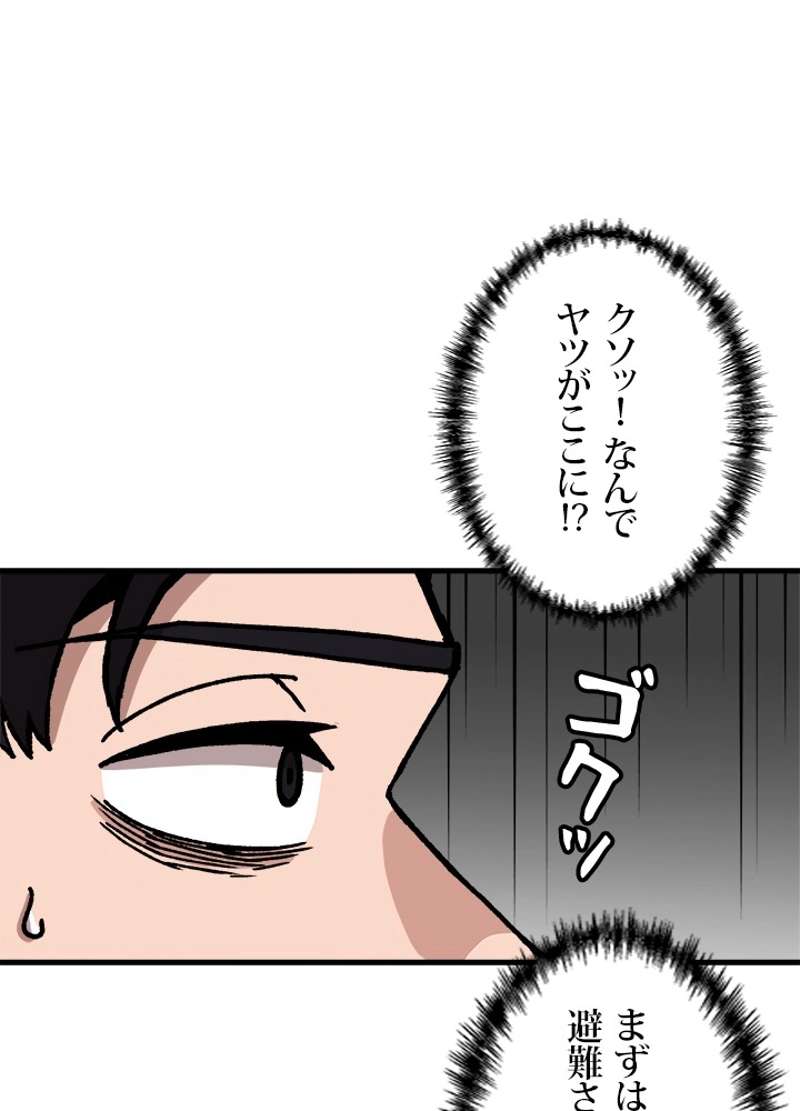 P48