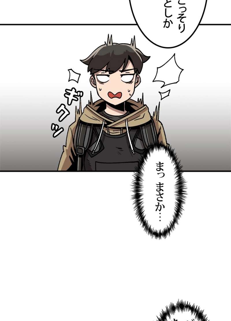 P66
