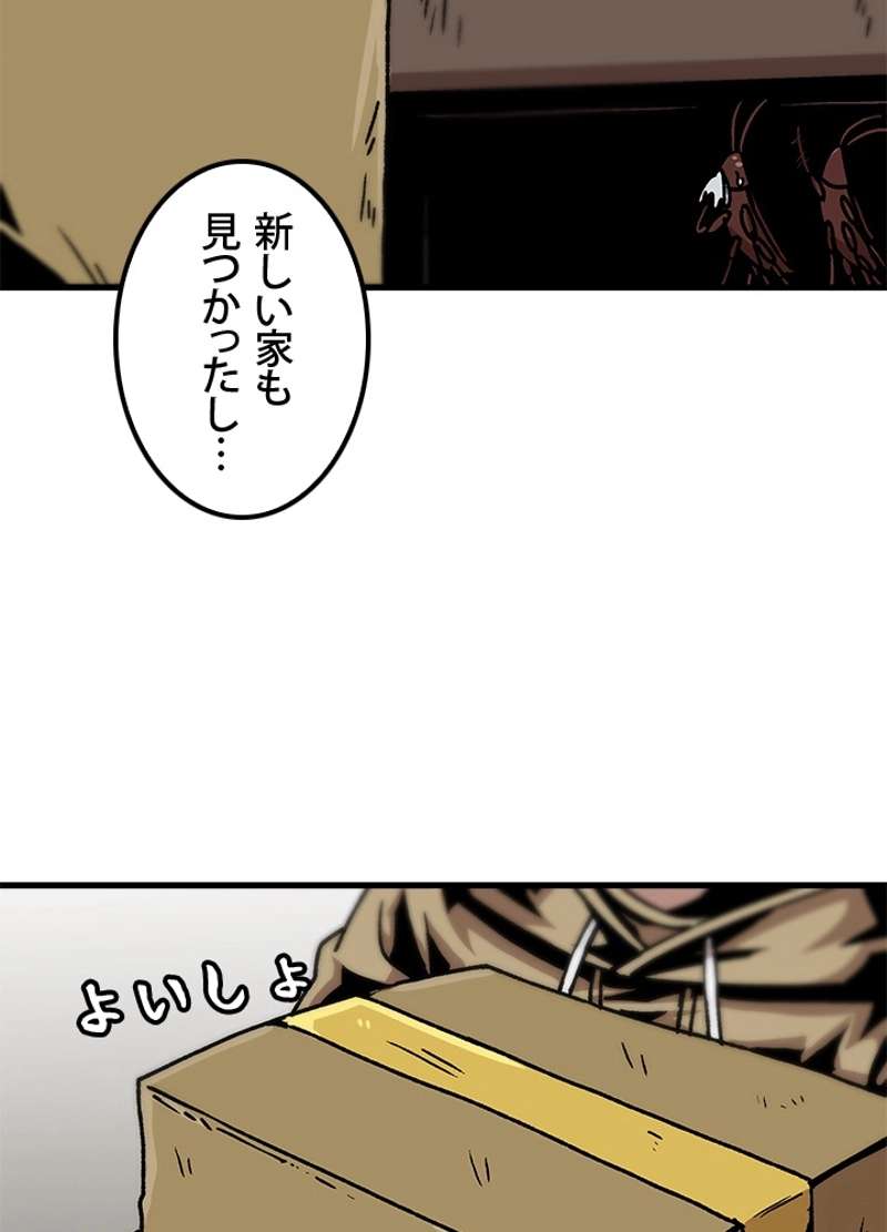 P41