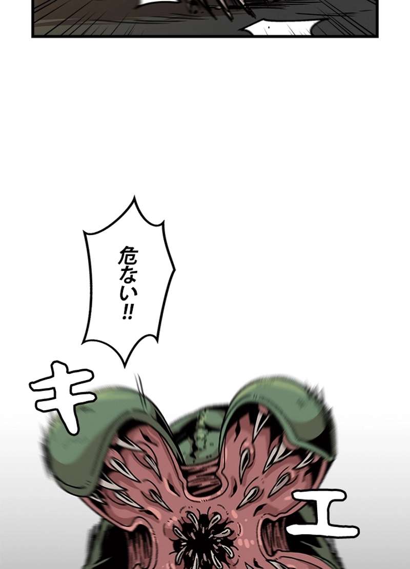 P63