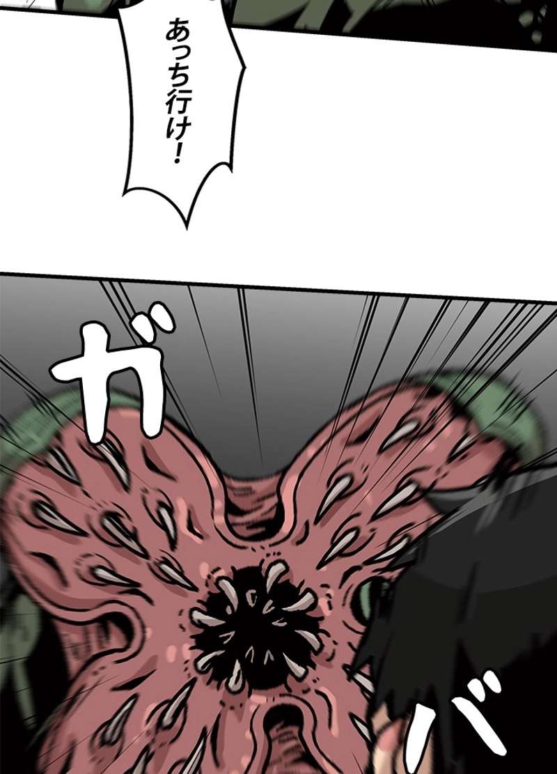 P66