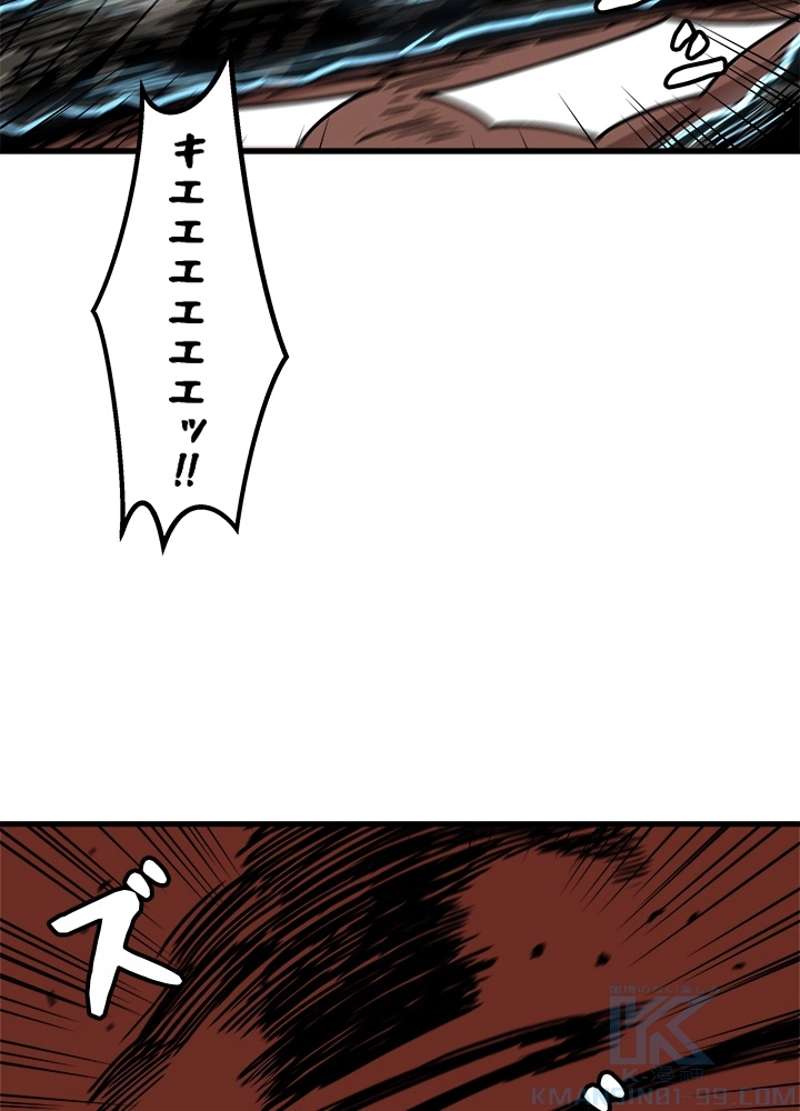 P58