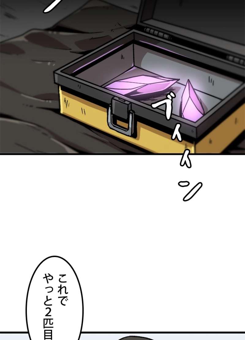 P66
