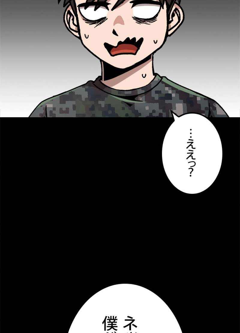 P66