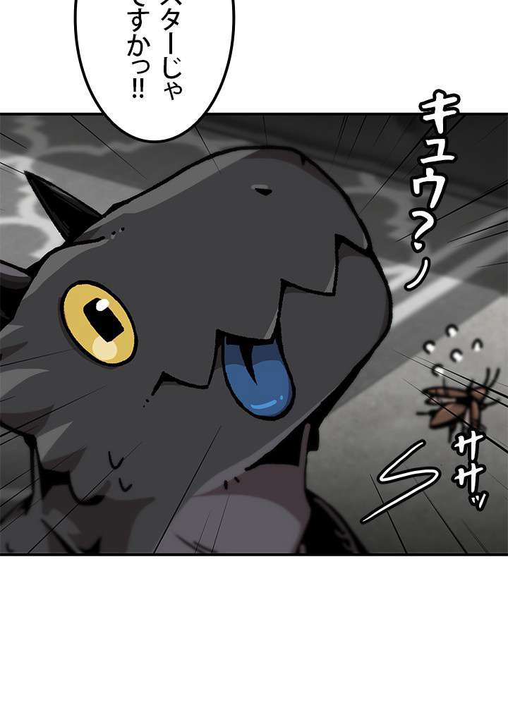 P48