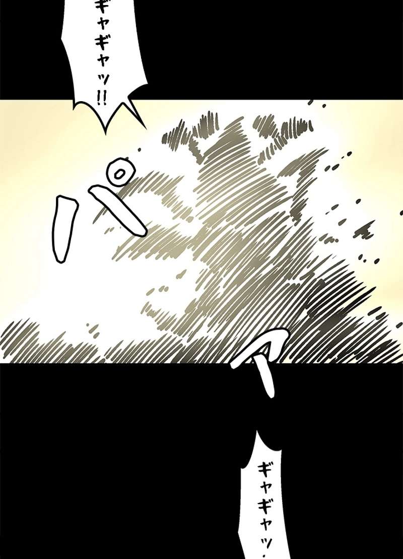 P51