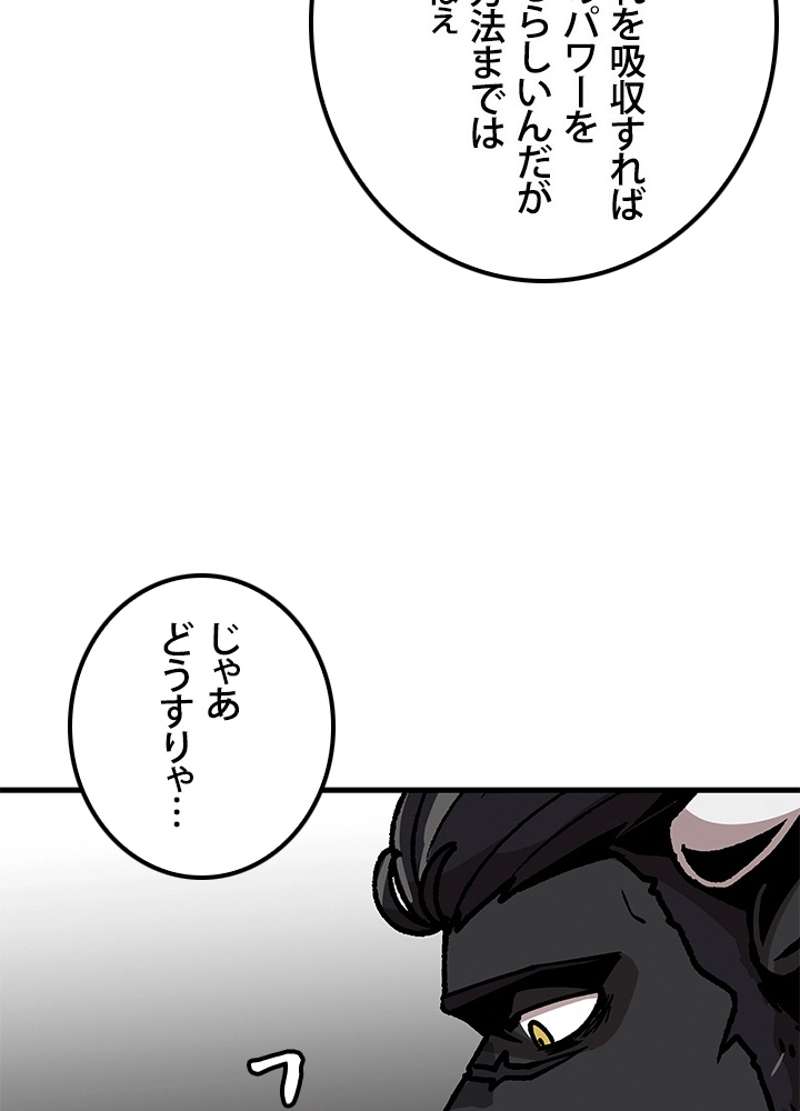 P44