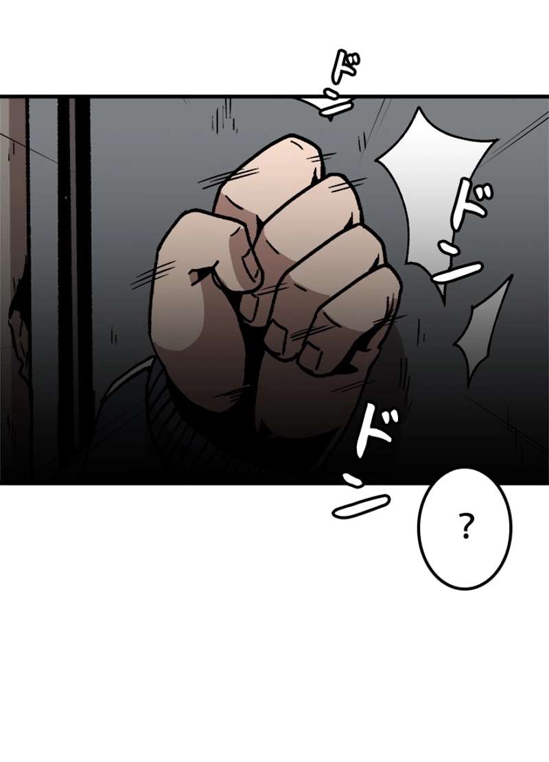 P63