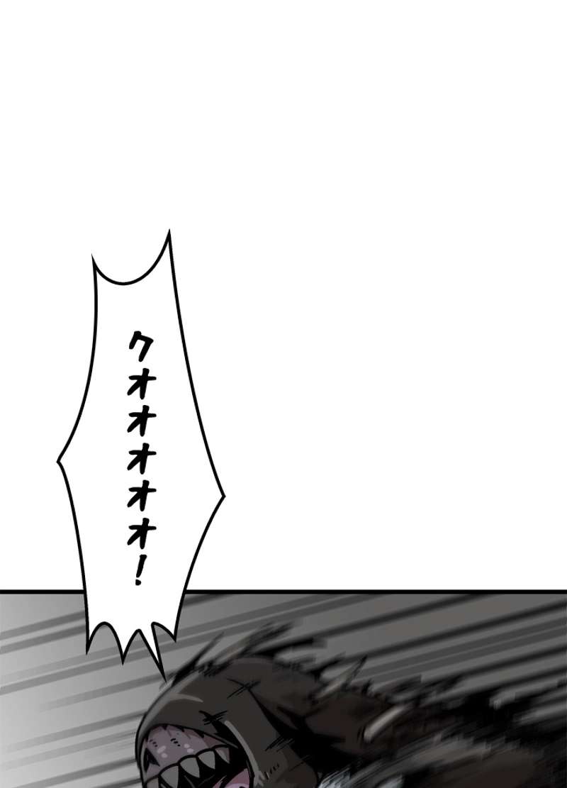 P66