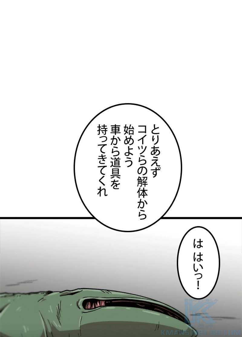 P58
