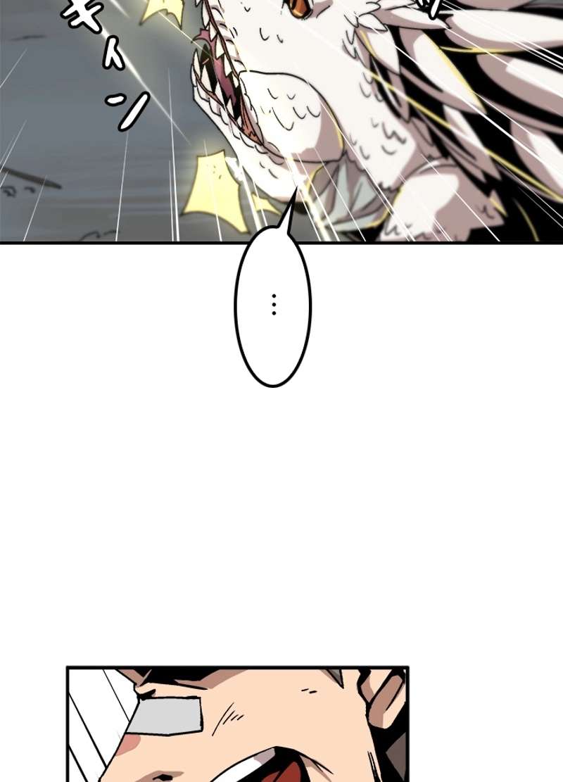P63