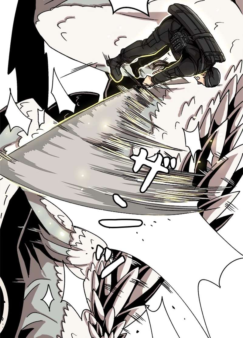P66