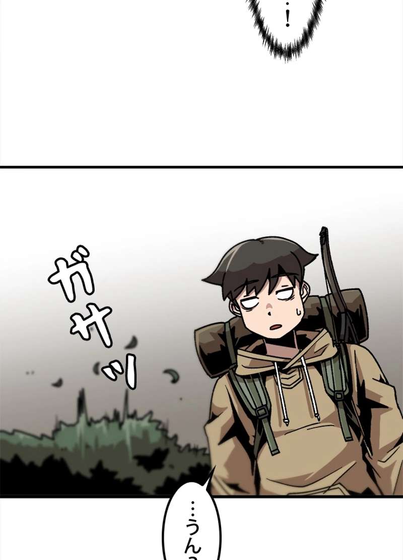 P66