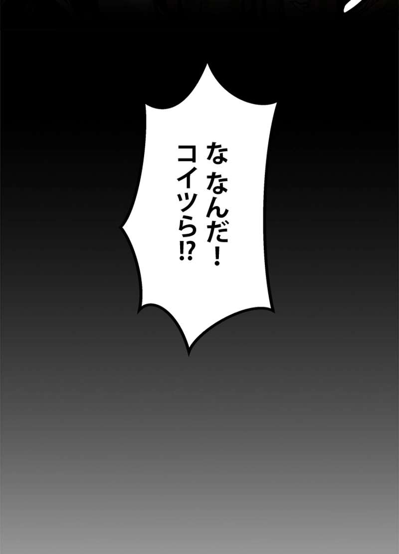 P86