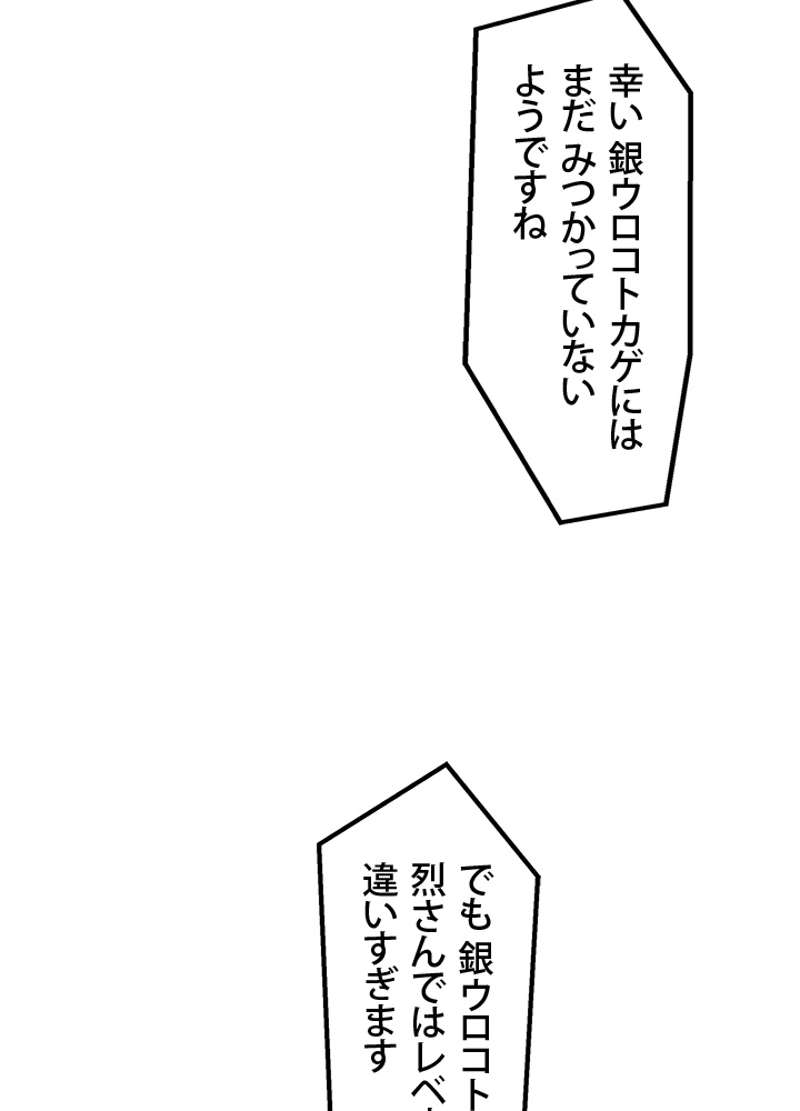 P66