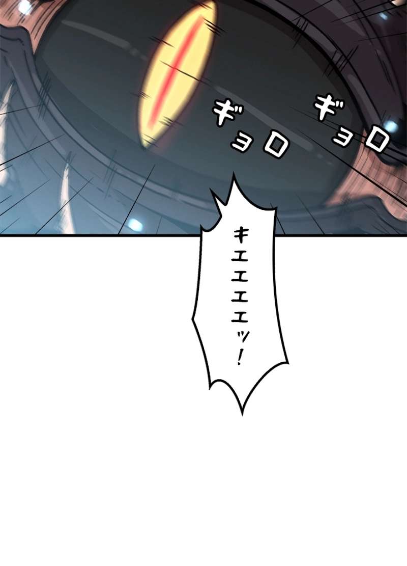 P53