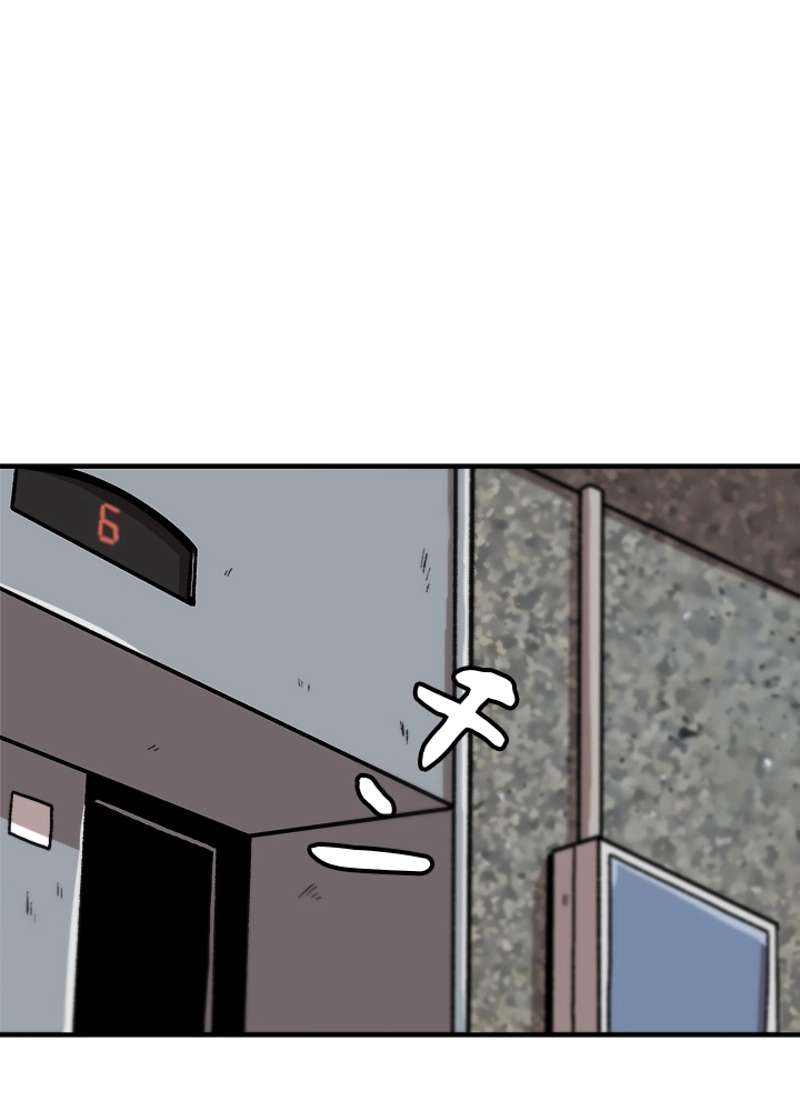 P66