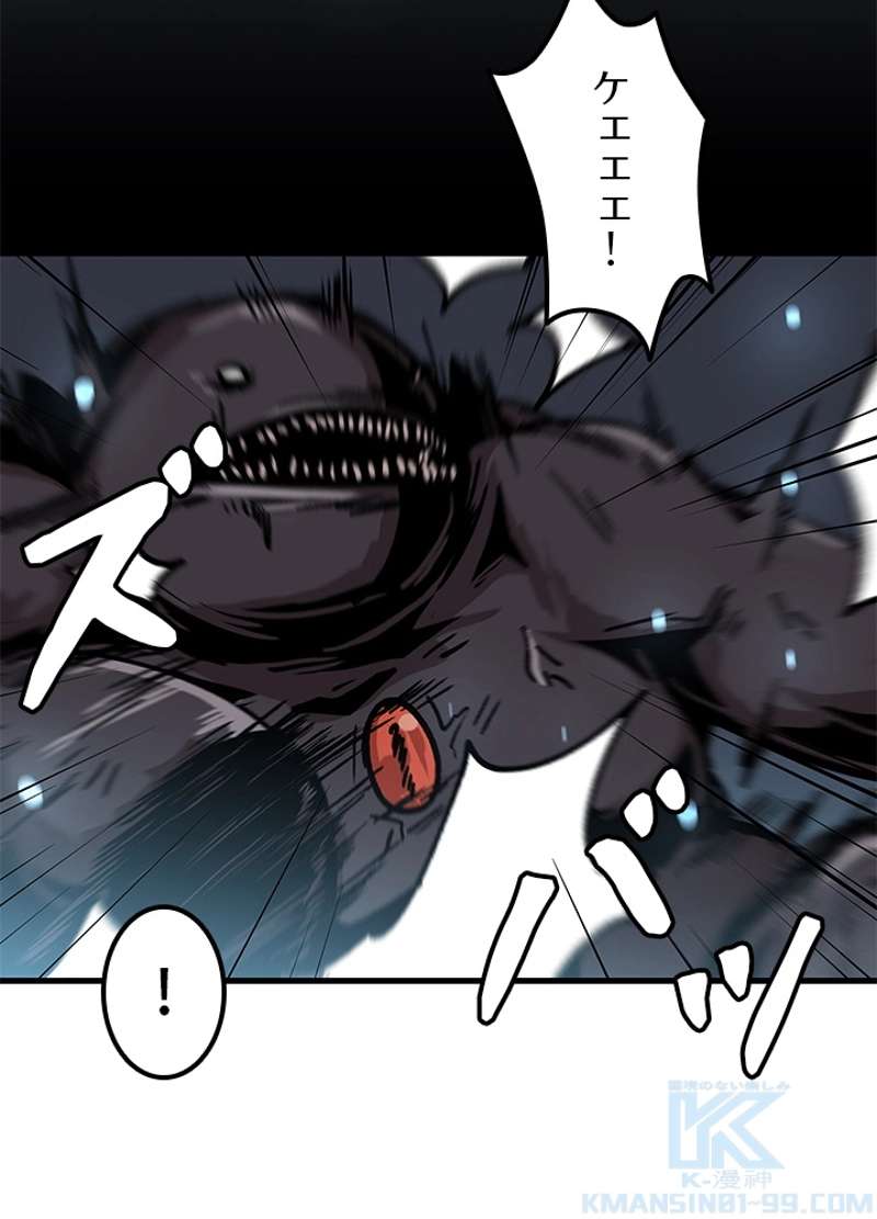 P58
