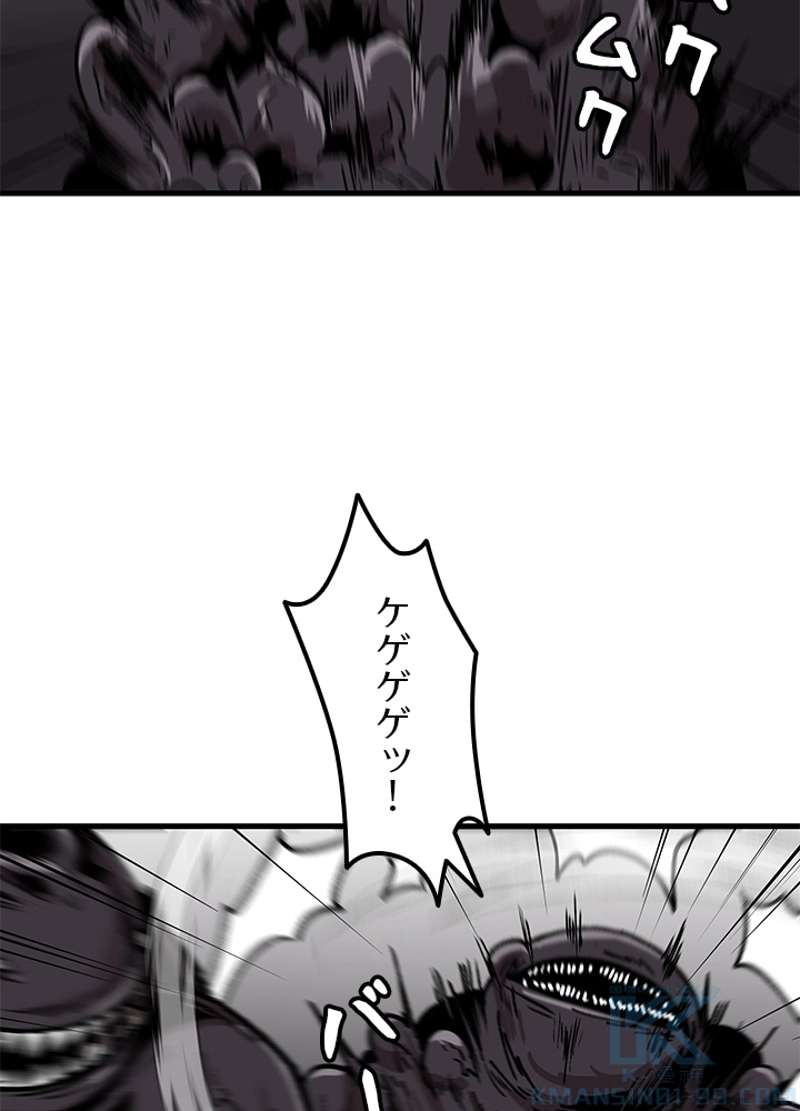 P61