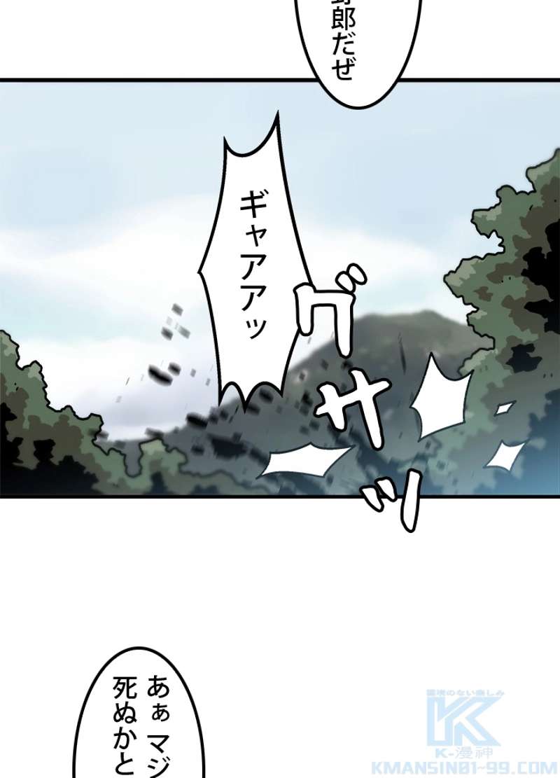 P61