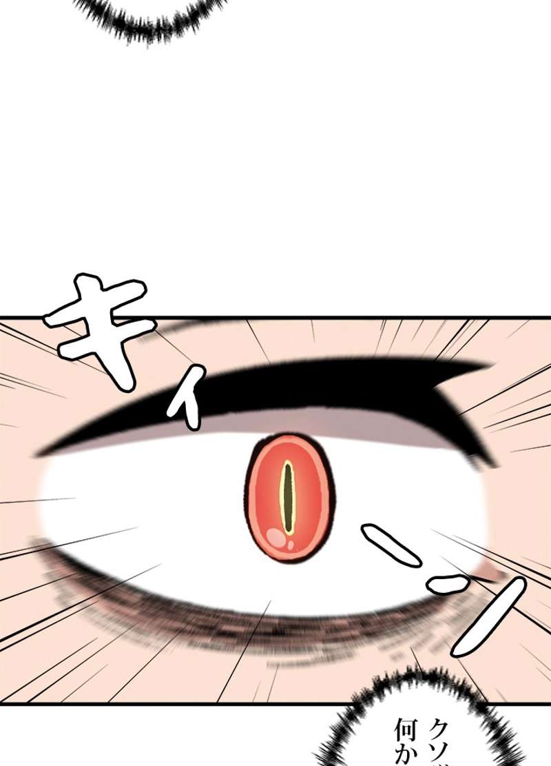 P48