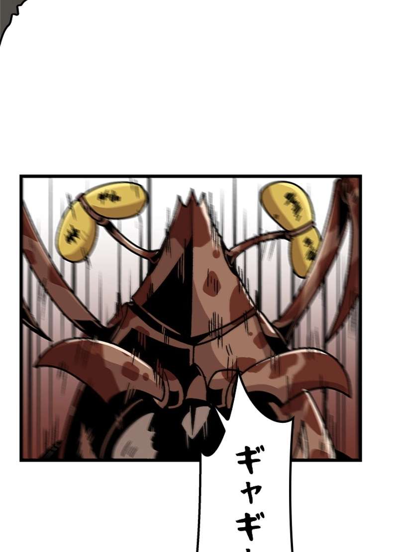 P66