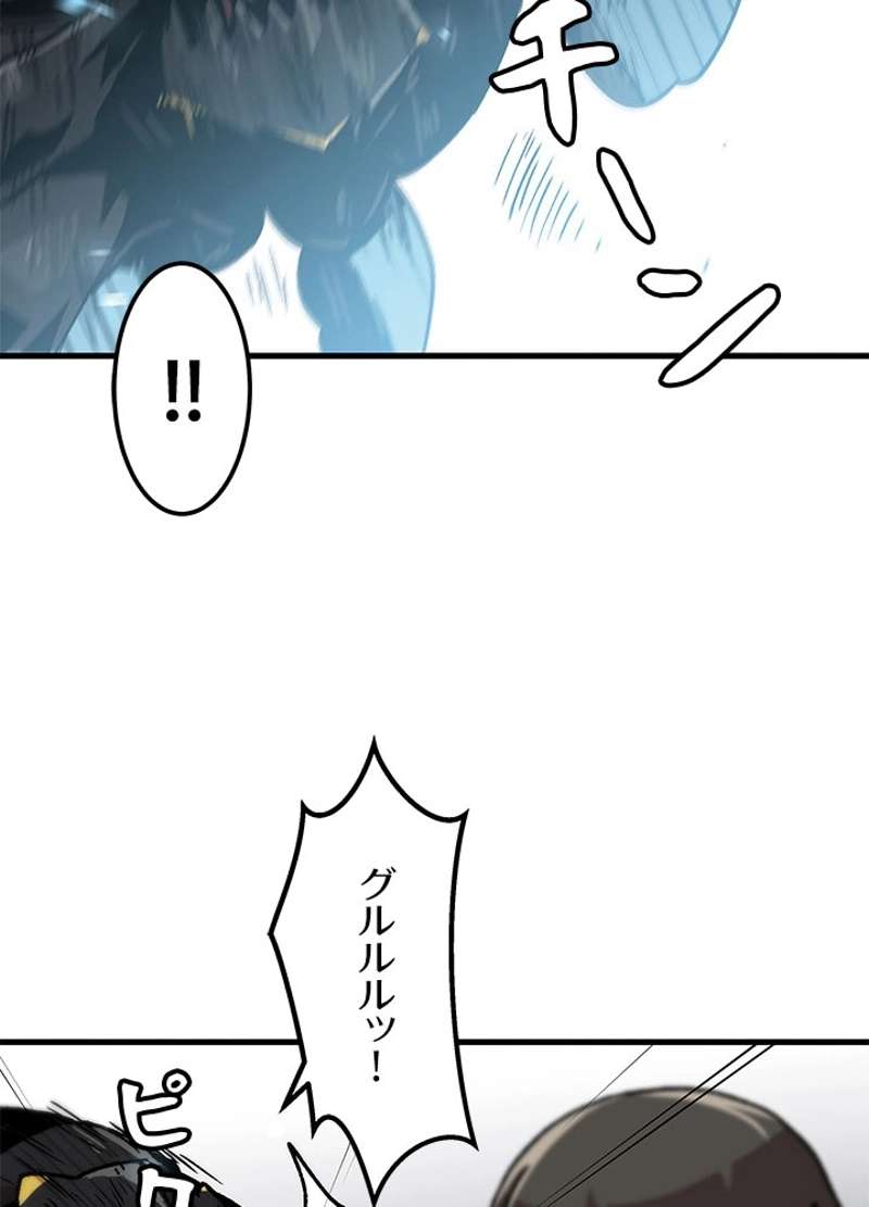 P56