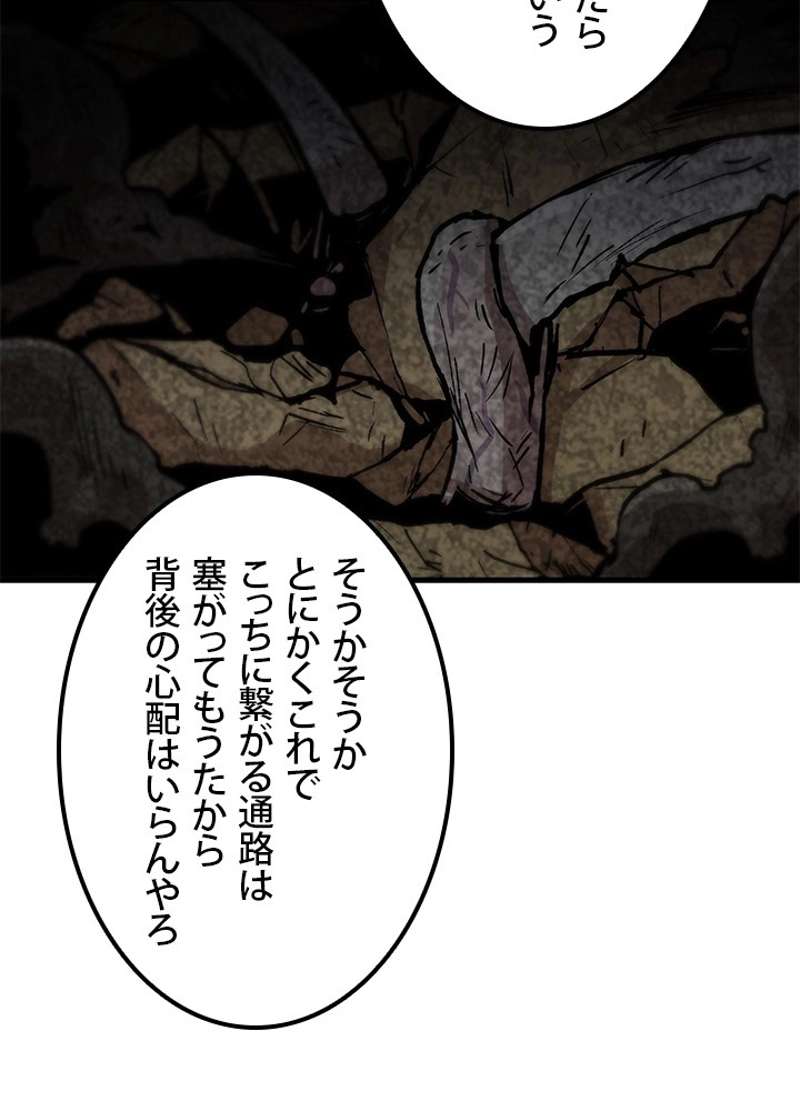 P24