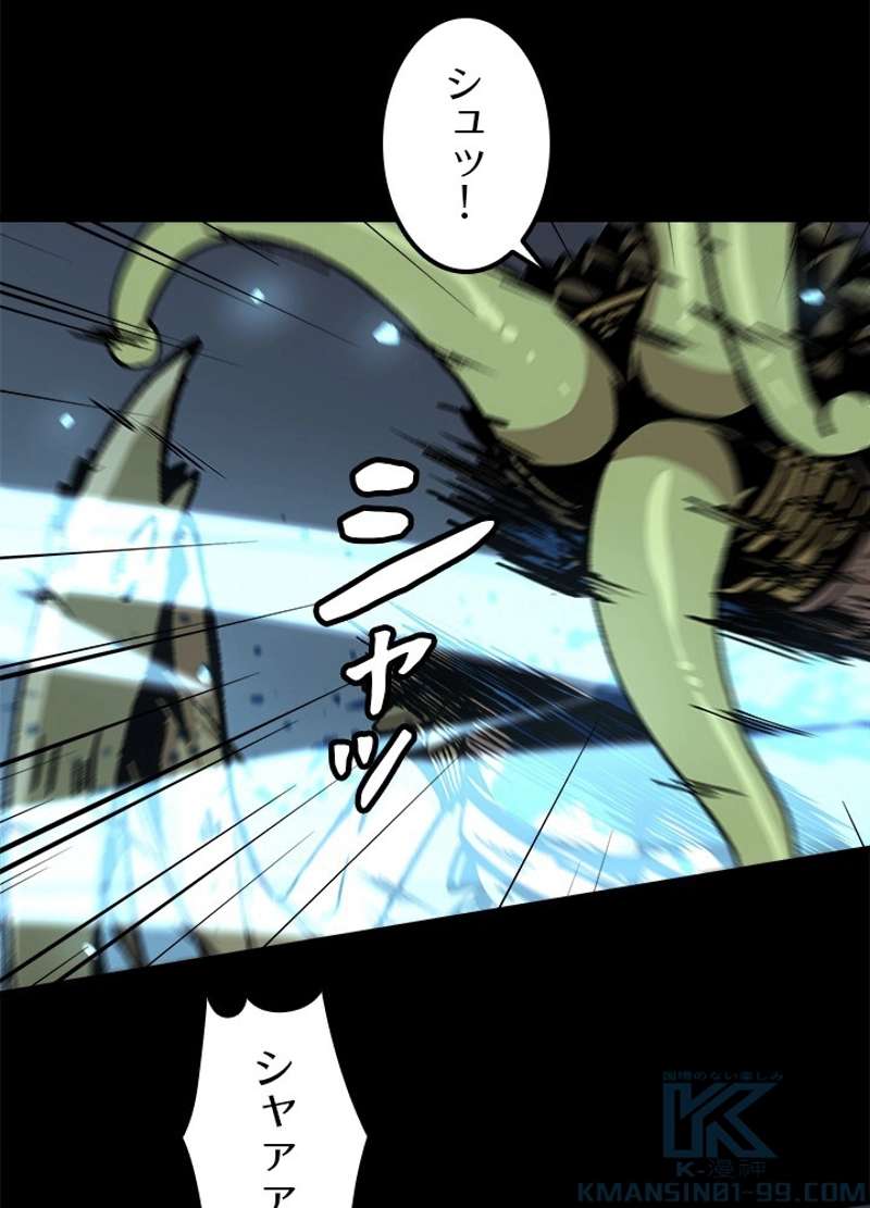 P58