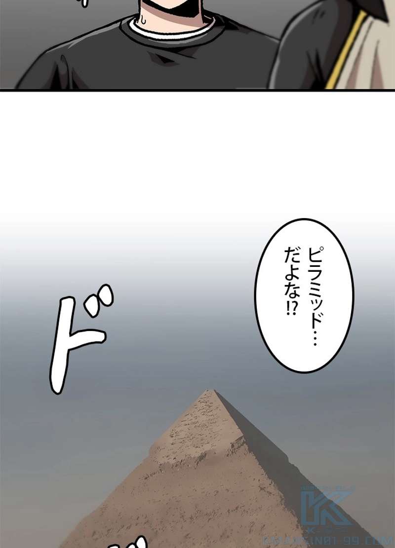 P61