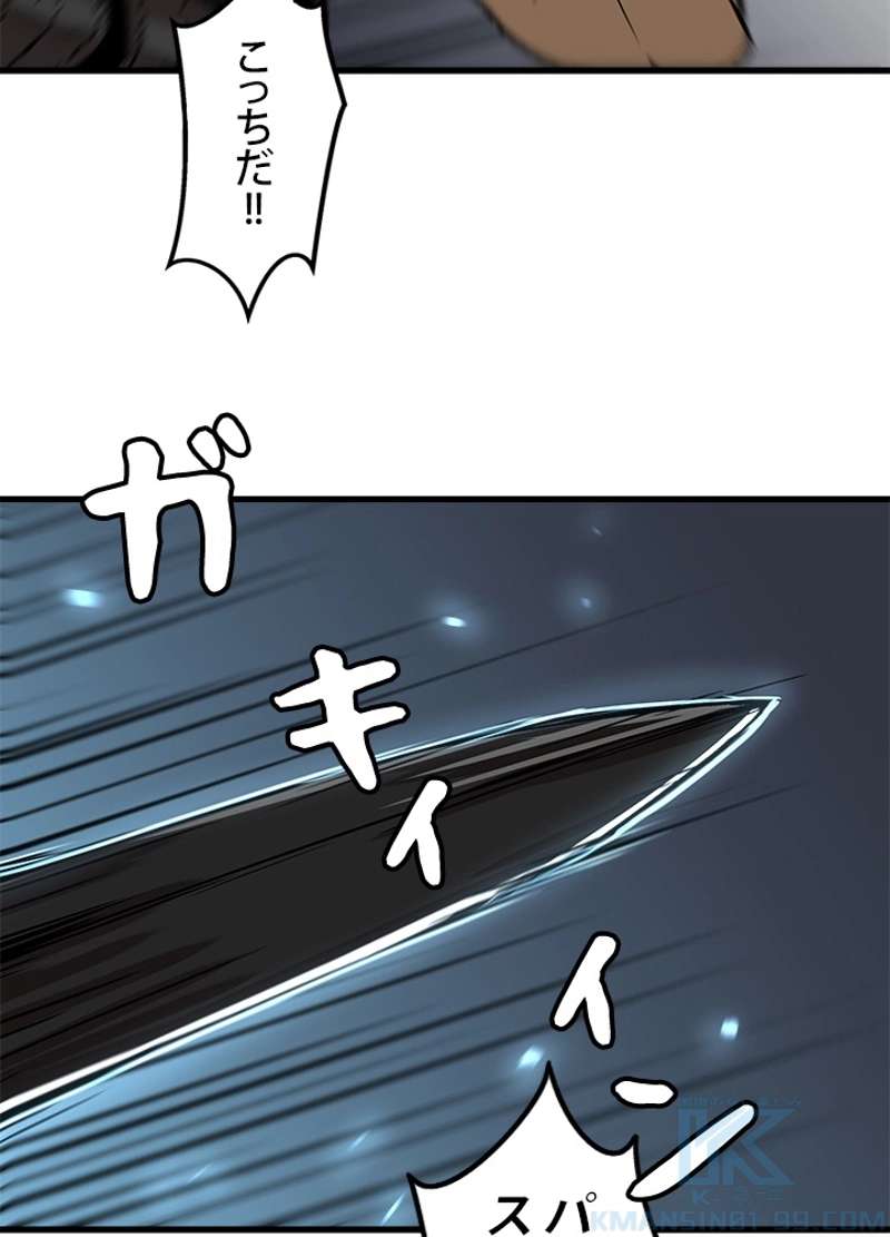 P61