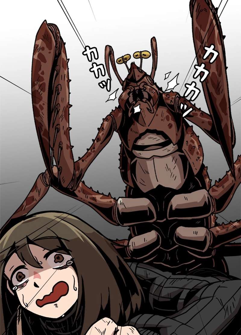 P51