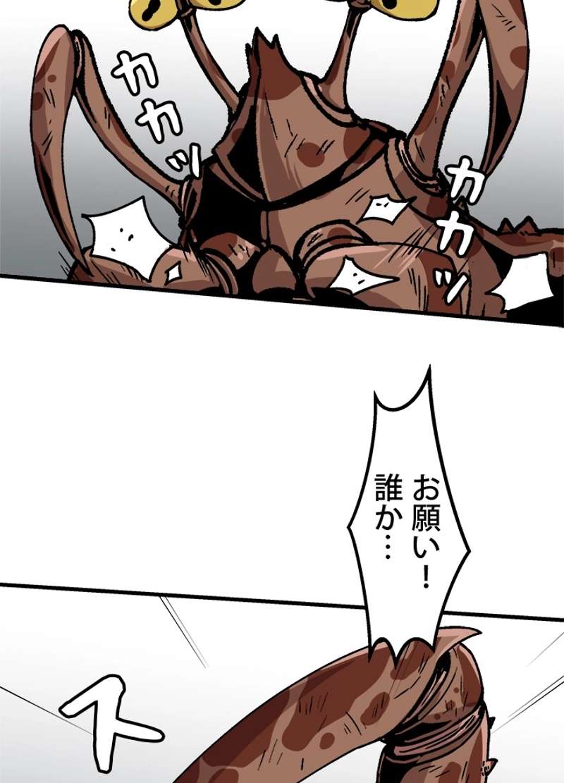 P53