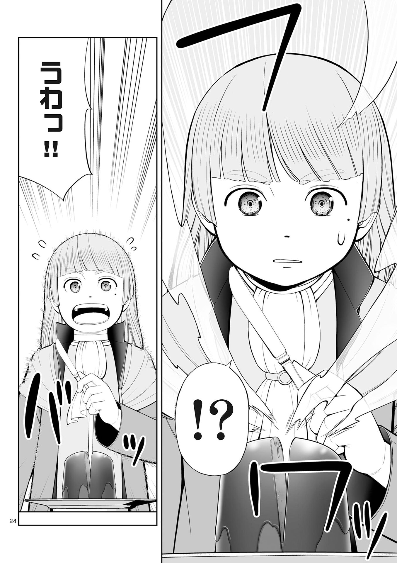 P24