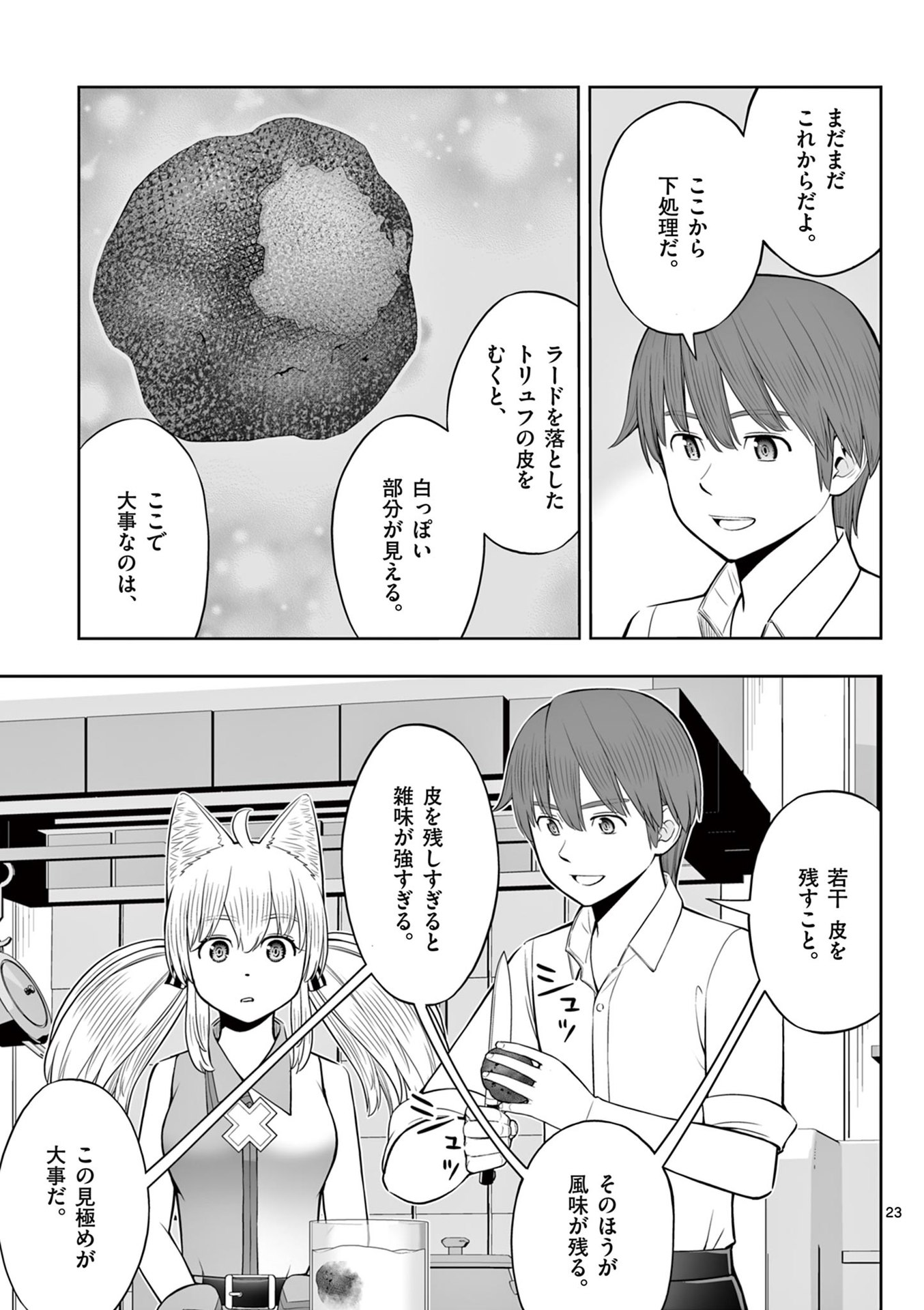P23