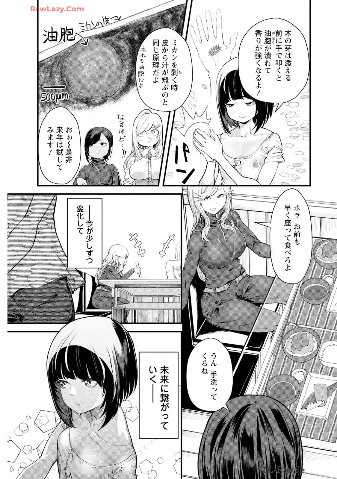 P31