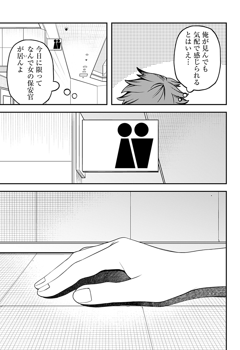 P23