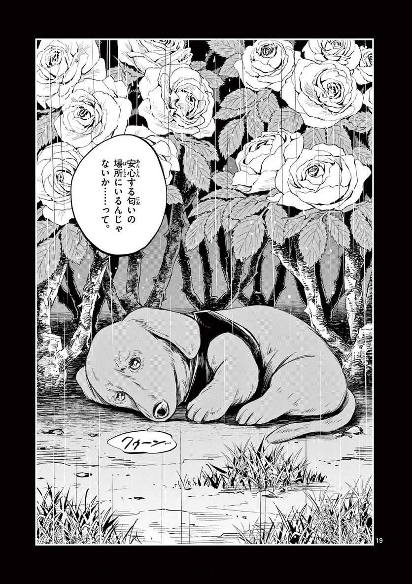 P19