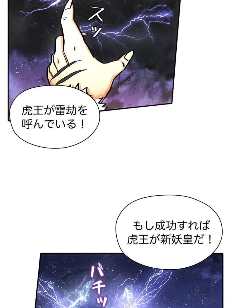 P24
