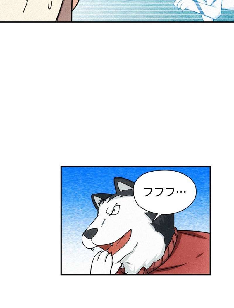 P53