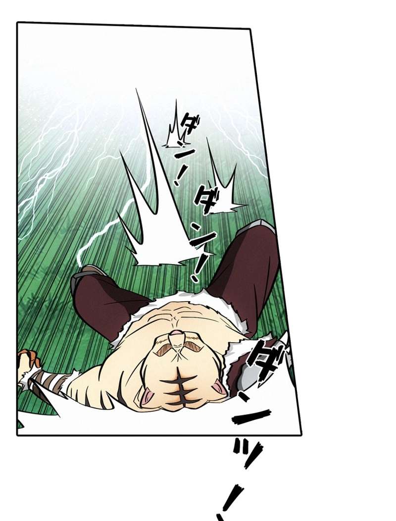 P53