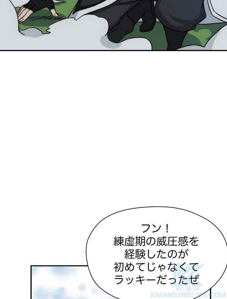 P58