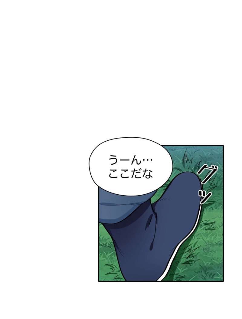 P65