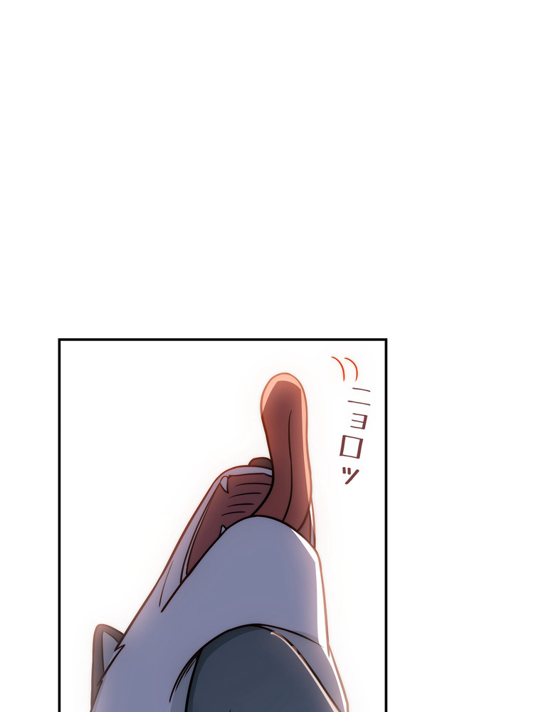 P51