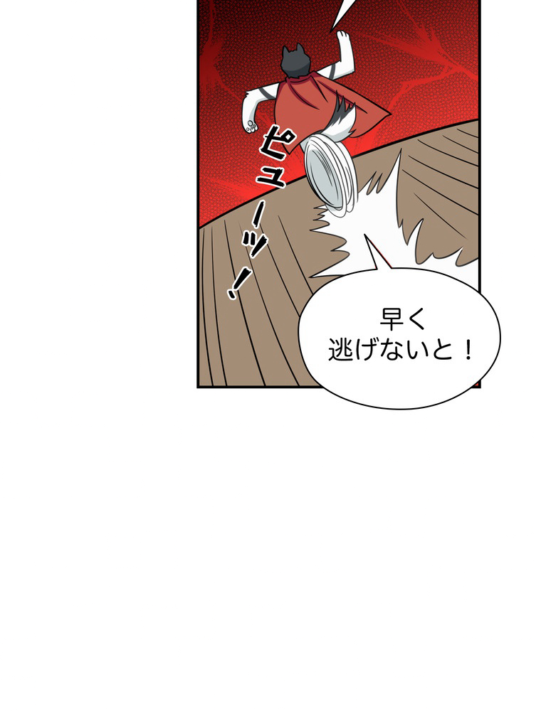 P51