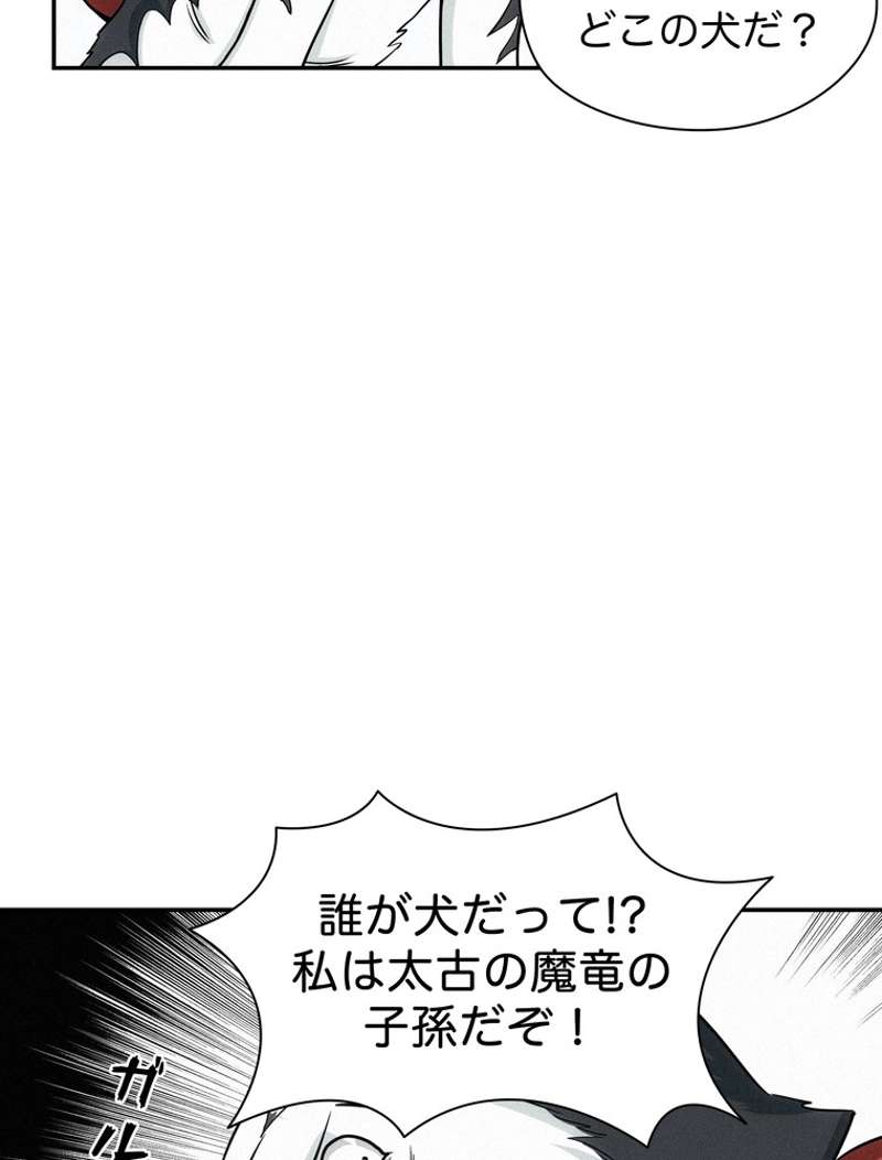 P66