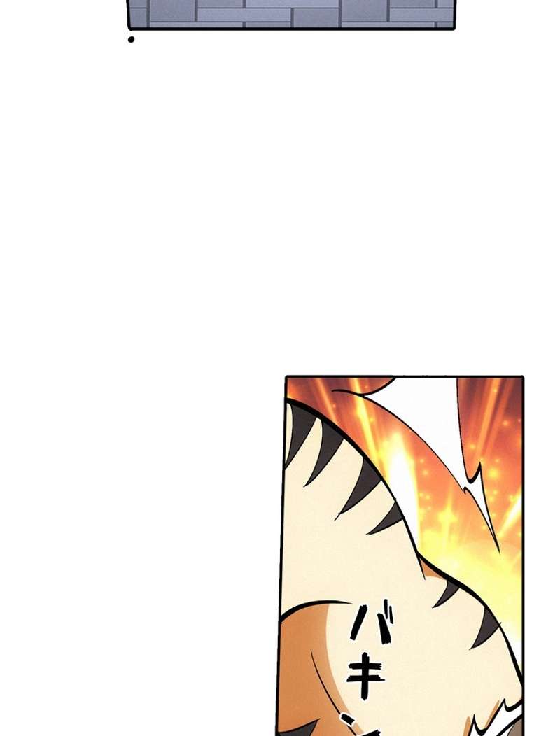 P63